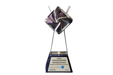 Trofeo de los Premios Empresa Social 2025 entregado a Open Mind